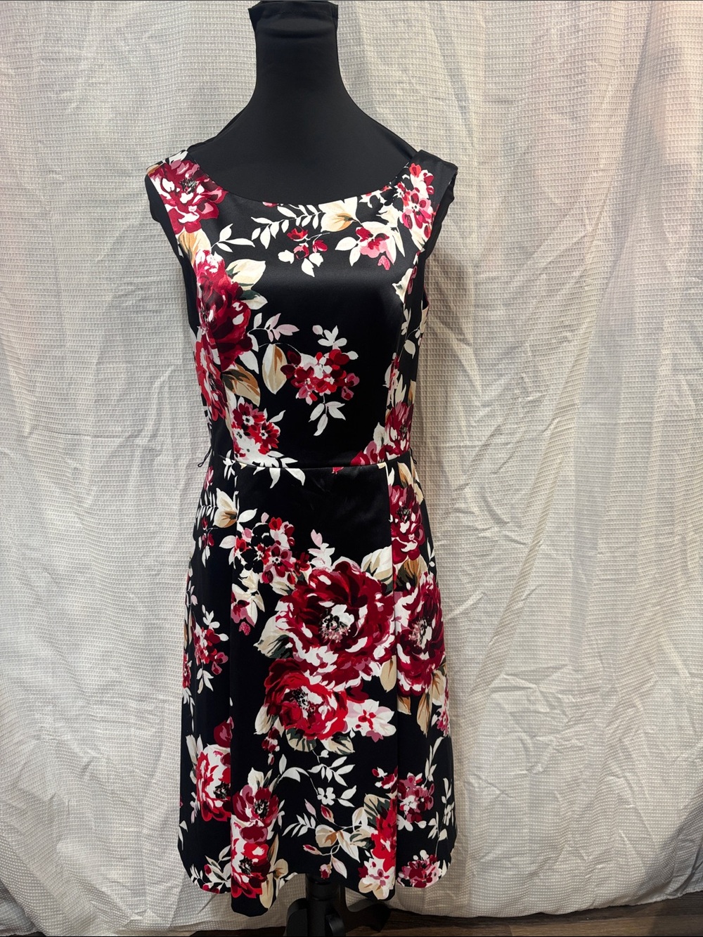 Women's Black Floral Fit & Flare Dress - Red & Cream Blooms